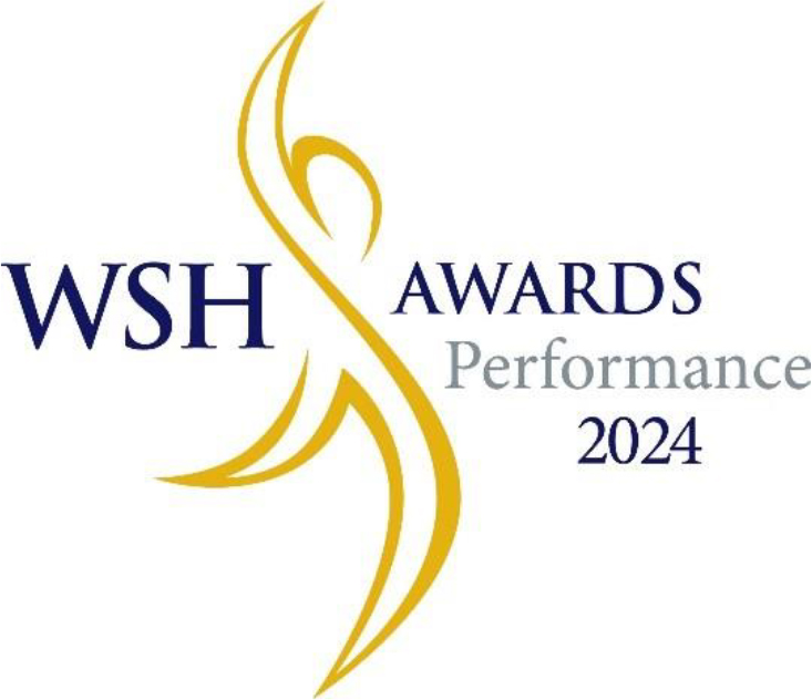 WSH performance awards 2024