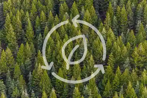 circular design caption image